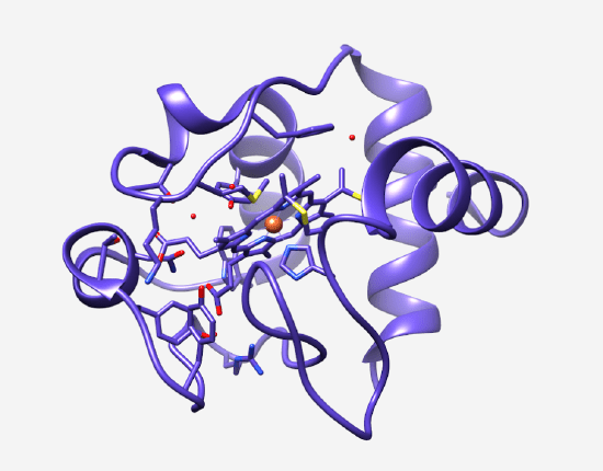 3D molecular structure of a protein, featuring purple ribbons and various colored atoms representing bonds and interactions.
